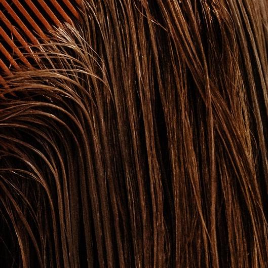 Brazilian Blowout BOGO chin length 